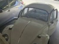 Volkswagen Beetle - <small></small> 24.000 € <small>TTC</small> - #1