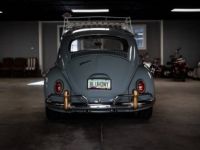 Volkswagen Beetle - <small></small> 31.000 € <small>TTC</small> - #2