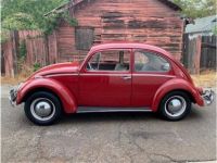 Volkswagen Beetle - <small></small> 26.000 € <small>TTC</small> - #2