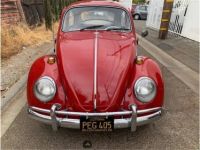 Volkswagen Beetle - <small></small> 26.000 € <small>TTC</small> - #3