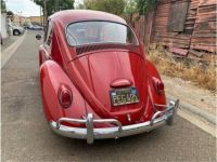 Volkswagen Beetle - <small></small> 26.000 € <small>TTC</small> - #6