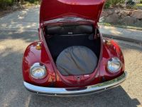 Volkswagen Beetle - <small></small> 17.000 € <small>TTC</small> - #4