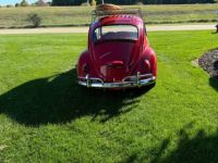 Volkswagen Beetle - <small></small> 20.000 € <small>TTC</small> - #3