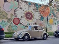 Volkswagen Beetle - <small></small> 24.000 € <small>TTC</small> - #5