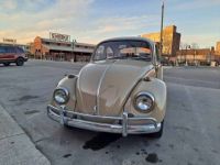 Volkswagen Beetle - <small></small> 24.000 € <small>TTC</small> - #6