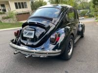 Volkswagen Beetle - <small></small> 20.000 € <small>TTC</small> - #20