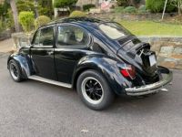 Volkswagen Beetle - <small></small> 20.000 € <small>TTC</small> - #22