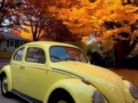 Volkswagen Beetle - <small></small> 18.000 € <small>TTC</small> - #8