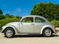 Volkswagen Beetle - Prix sur Demande - #2