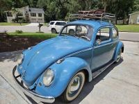 Volkswagen Beetle - <small></small> 31.000 € <small>TTC</small> - #2