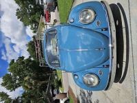 Volkswagen Beetle - <small></small> 31.000 € <small>TTC</small> - #4