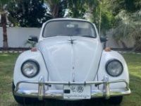 Volkswagen Beetle - <small></small> 20.000 € <small>TTC</small> - #2