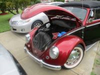 Volkswagen Beetle - <small></small> 22.000 € <small>TTC</small> - #3