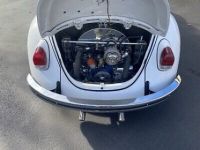 Volkswagen Beetle - <small></small> 22.000 € <small>TTC</small> - #7