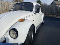 Volkswagen Beetle - <small></small> 22.000 € <small>TTC</small> - #8