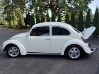 Volkswagen Beetle - <small></small> 26.000 € <small>TTC</small> - #4