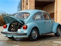 Volkswagen Beetle - <small></small> 14.900 € <small></small> - #12