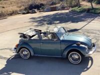 Volkswagen Beetle Beetle-New  - <small></small> 20.000 € <small>TTC</small> - #19