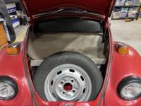 Volkswagen Beetle bug  - <small></small> 16.000 € <small>TTC</small> - #6