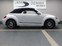 Volkswagen Beetle Cabrio - <small></small> 16.500 € <small>TTC</small> - #11