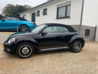 Volkswagen Beetle Cabriolet 1.2 TSI CUP - <small></small> 12.850 € <small>TTC</small> - #3