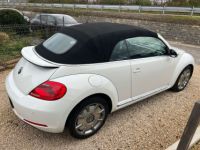 Volkswagen Beetle Cabriolet 1.4 TSI Design - <small></small> 13.950 € <small>TTC</small> - #5