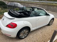 Volkswagen Beetle Cabriolet 1.4 TSI Design - <small></small> 13.950 € <small>TTC</small> - #6