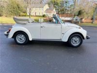 Volkswagen Beetle Cabriolet  - <small></small> 27.700 € <small>TTC</small> - #8