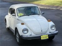 Volkswagen Beetle Cabriolet  - <small></small> 27.700 € <small>TTC</small> - #9