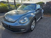 Volkswagen Beetle COCCINELLE II Coccinelle Cabriolet 2.0 TDI 140 Ch (8 CV) 2013 - <small></small> 12.900 € <small>TTC</small> - #1