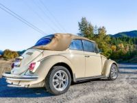 Volkswagen Beetle convertible  - <small></small> 24.000 € <small>TTC</small> - #2