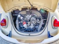 Volkswagen Beetle convertible  - <small></small> 24.000 € <small>TTC</small> - #3