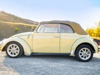 Volkswagen Beetle convertible  - <small></small> 24.000 € <small>TTC</small> - #5