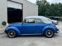 Volkswagen Beetle Karmann Converible  - <small></small> 22.000 € <small>TTC</small> - #2