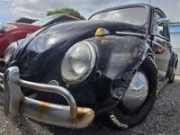 Volkswagen Beetle (Pre-1980)  - <small></small> 19.000 € <small>TTC</small> - #13