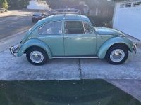 Volkswagen Beetle (Pre-1980)  - <small></small> 23.000 € <small>TTC</small> - #1