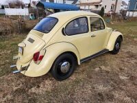 Volkswagen Beetle (Pre-1980)  - <small></small> 19.000 € <small>TTC</small> - #1