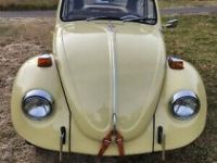 Volkswagen Beetle (Pre-1980)  - <small></small> 19.000 € <small>TTC</small> - #2