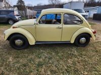 Volkswagen Beetle (Pre-1980)  - <small></small> 19.000 € <small>TTC</small> - #3