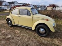 Volkswagen Beetle (Pre-1980)  - <small></small> 19.000 € <small>TTC</small> - #4