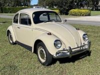 Volkswagen Beetle (Pre-1980)  - <small></small> 22.600 € <small>TTC</small> - #2