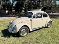 Volkswagen Beetle (Pre-1980)  - <small></small> 22.600 € <small>TTC</small> - #3