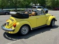 Volkswagen Beetle Super  - <small></small> 30.000 € <small>TTC</small> - #3