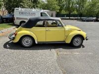 Volkswagen Beetle Super  - <small></small> 30.000 € <small>TTC</small> - #5