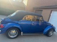 Volkswagen Beetle Super  - <small></small> 19.000 € <small>TTC</small> - #10