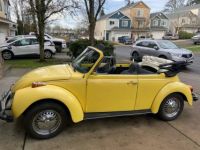 Volkswagen Beetle Super  - <small></small> 16.000 € <small>TTC</small> - #3