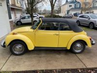 Volkswagen Beetle Super  - <small></small> 16.000 € <small>TTC</small> - #11