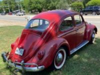 Volkswagen Beetle Vw  - <small></small> 21.000 € <small>TTC</small> - #6