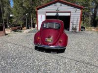 Volkswagen Beetle Vw  - <small></small> 23.000 € <small>TTC</small> - #2