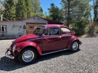 Volkswagen Beetle Vw  - <small></small> 23.000 € <small>TTC</small> - #3